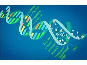 生物專業去英國留學，選擇哪些學校好