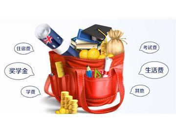 打算去英國讀高中，每年費用大概多少