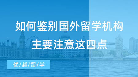 【留學中介】24fall來看！如何鑒別國外留學中介機構，主要注意這四點！